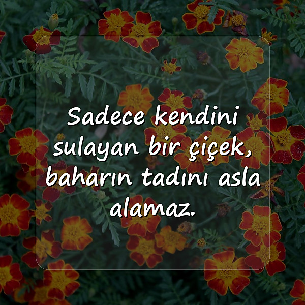 bencil insanlara sözler - 3