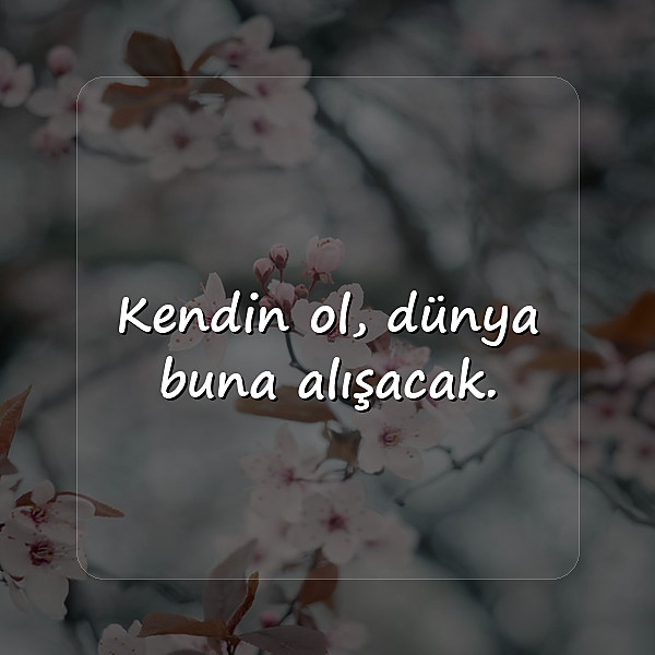 bioya yazılacak sözler - 9