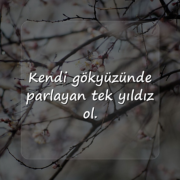 bioya yazılacak sözler - 5