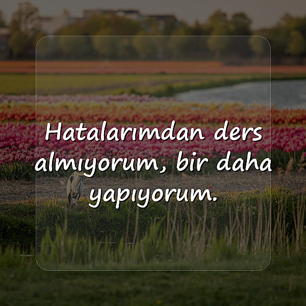 bioya yazılacak sözler - 10