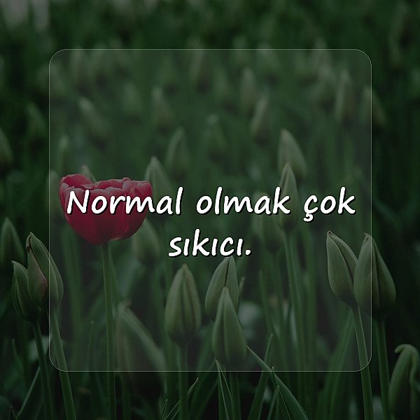 bioya yazılacak sözler - 6