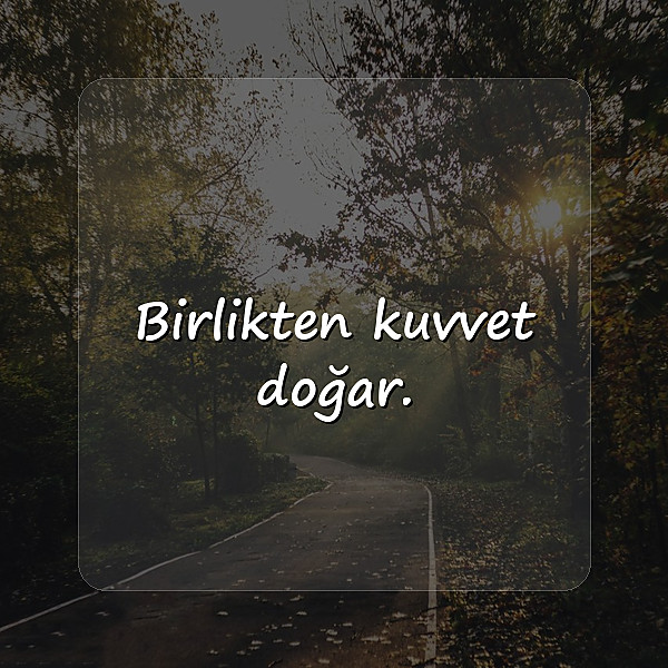 birlik beraberlik sözleri - 1