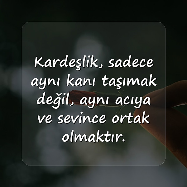 birlik beraberlik sözleri - 22