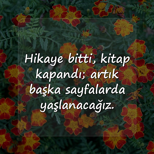 bitti sözleri - 10