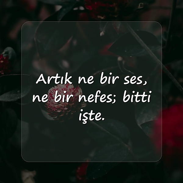 bitti sözleri - 11