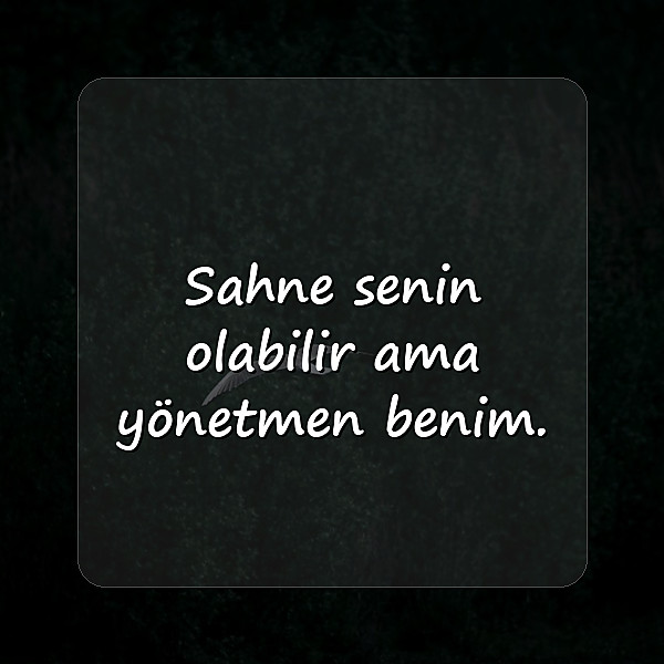 biyografi sözleri - 17