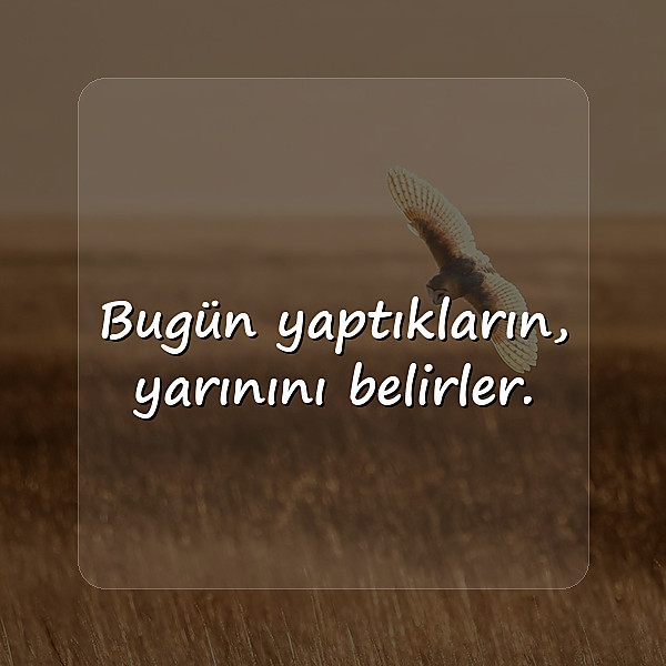 biyografi sözleri - 18