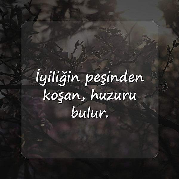biyografi sözleri - 2