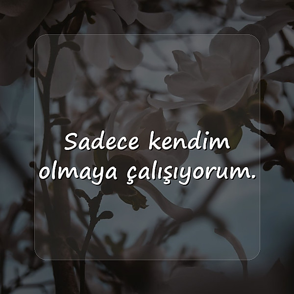 biyografi sözleri kısa - 1