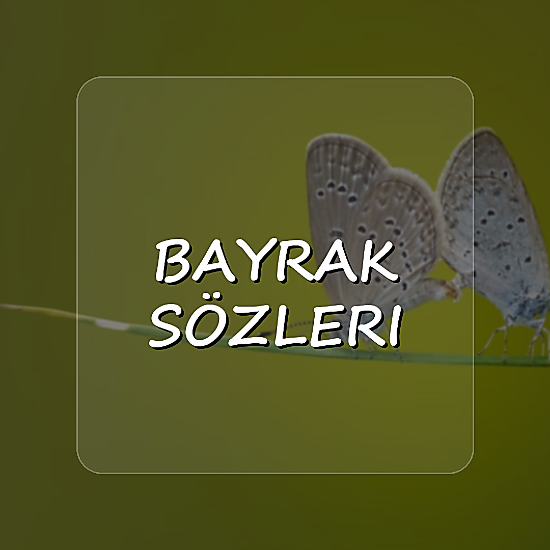 bayrak sözleri - 2026