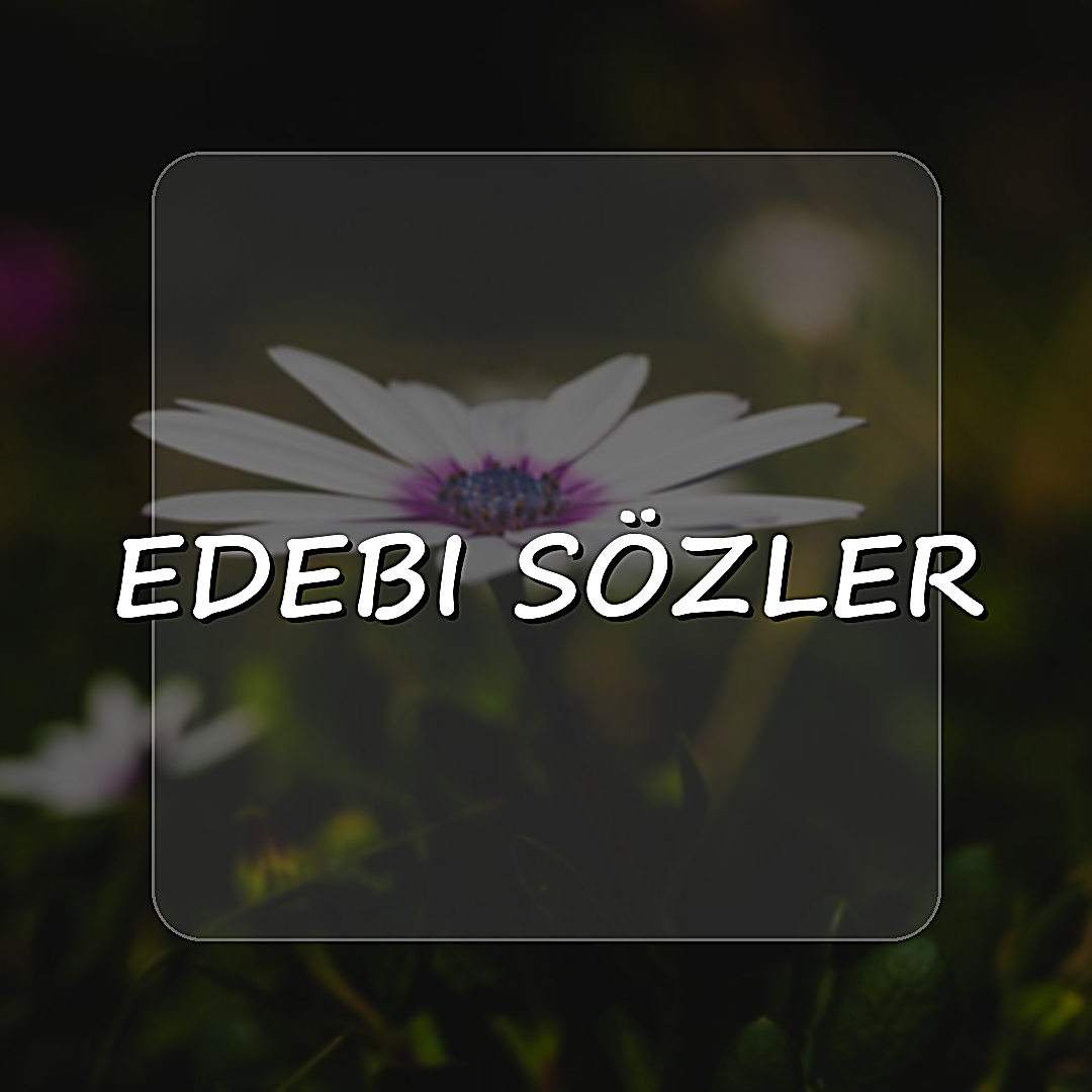 edebi sözler - 2026