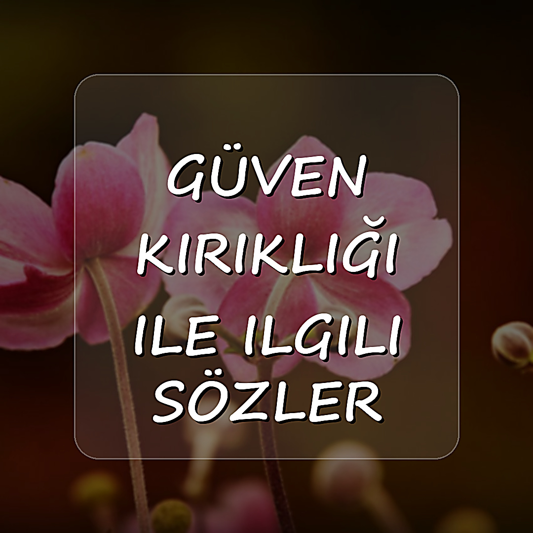 güven kırıklığı ile ilgili sözler	 - 2026