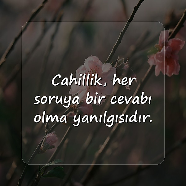 cahil insanlara sözler - 15