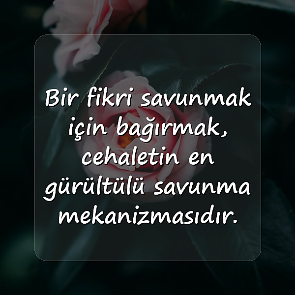 cahil insanlara sözler - 11