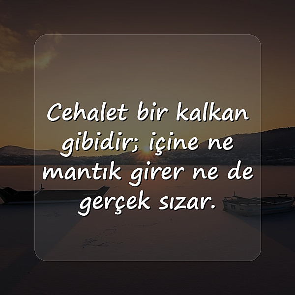 cahil insanlara sözler - 7