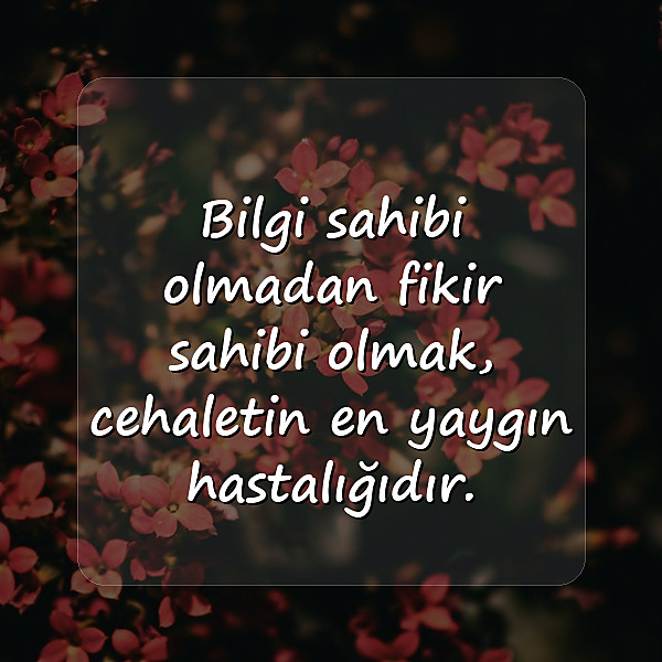 cahil insanlara sözler - 6