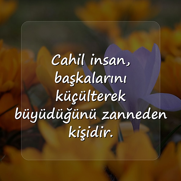 cahil insanlara sözler - 2