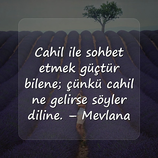 cahillikle ilgili sözler - 10