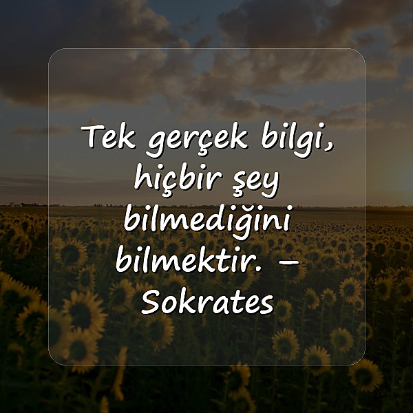 cahillikle ilgili sözler - 6
