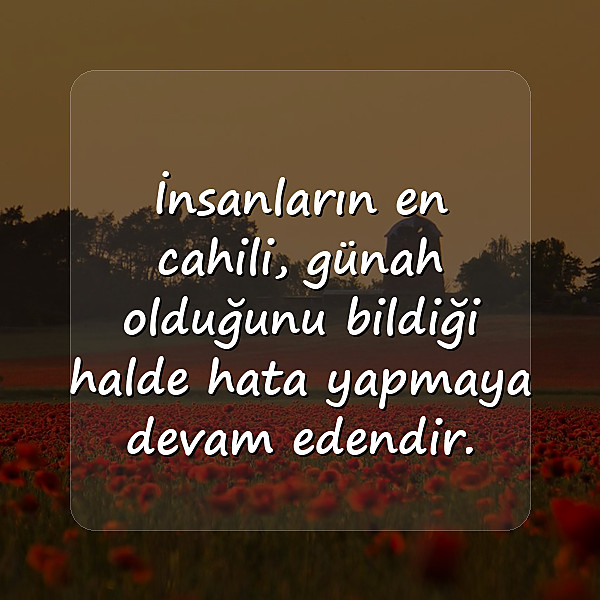 cahillikle ilgili sözler - 11