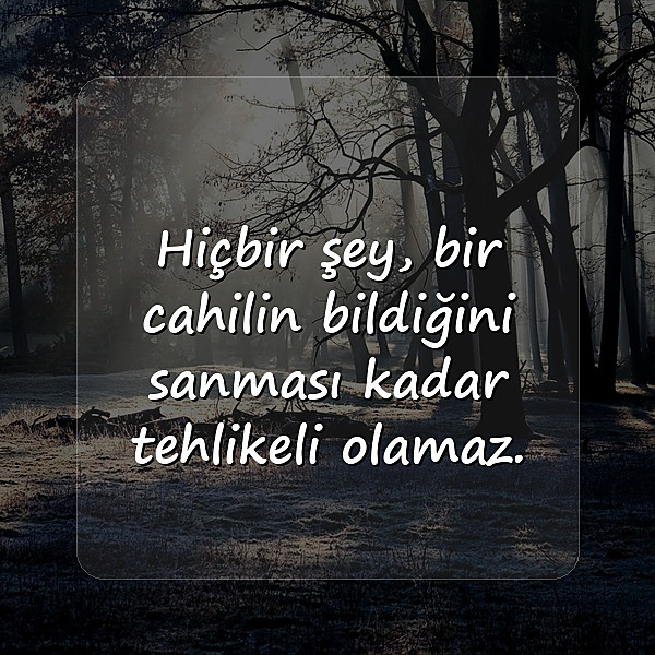 cahillikle ilgili sözler - 7