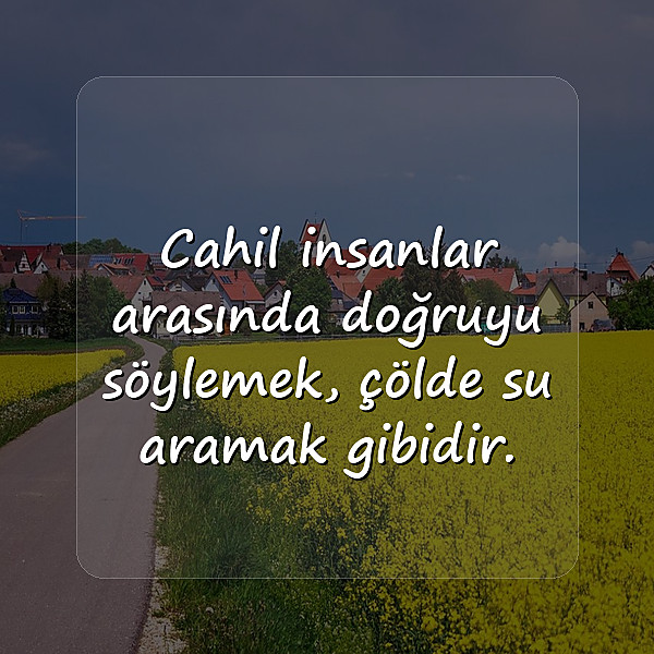 cahillikle ilgili sözler - 3