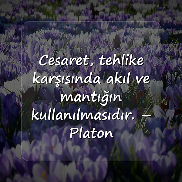 cesaret ile ilgili sözler - 12