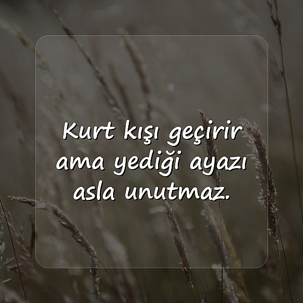 damar sözler - 1