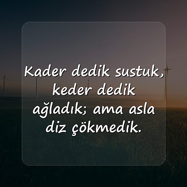 damar sözler - 22