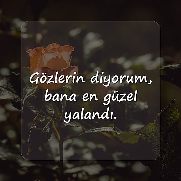 damar sözler kısa	 - 11