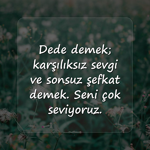 dedeye doğum günü sözleri - 7