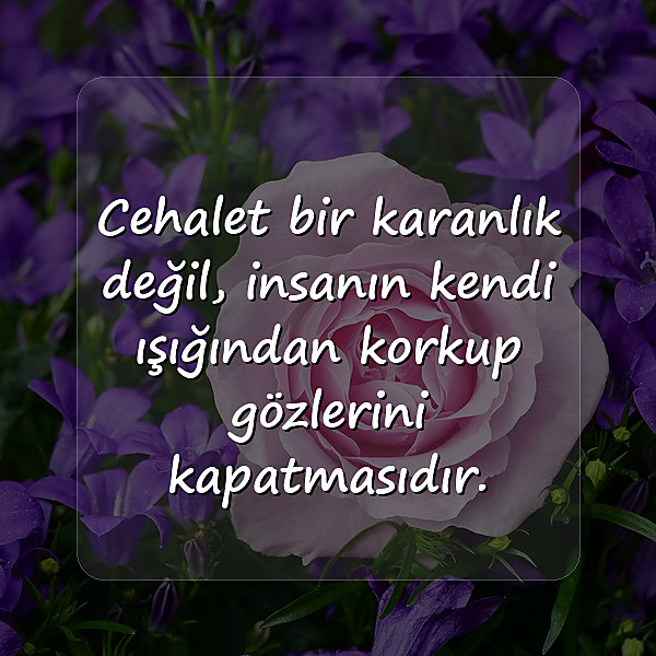 değer ile ilgili sözler	 - 10