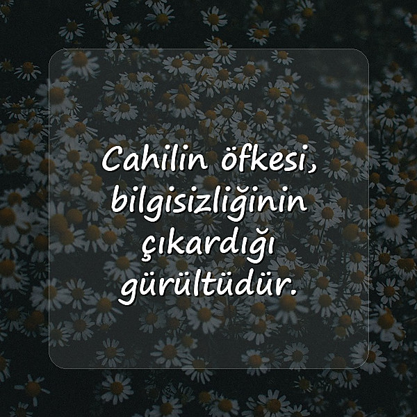 değer ile ilgili sözler	 - 3