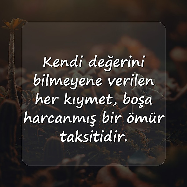 değer vermek ile ilgili sözler - 6