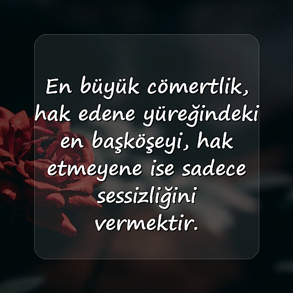 değer vermek ile ilgili sözler - 2