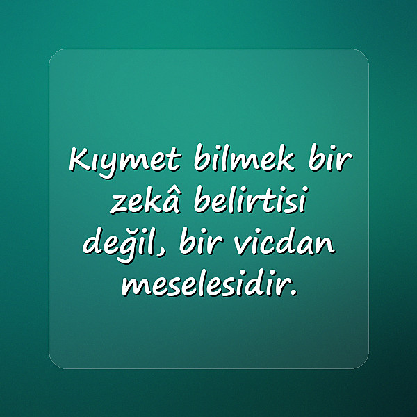 değer vermek ile ilgili sözler - 23