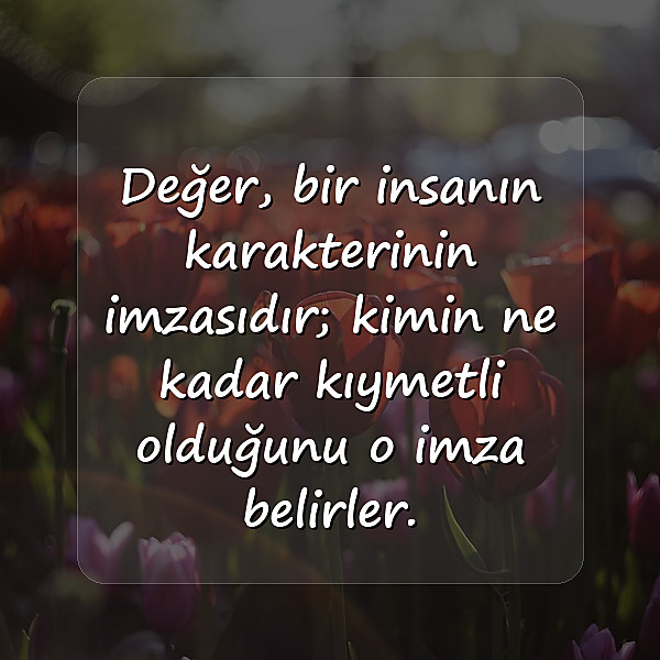 değer vermek ile ilgili sözler - 3
