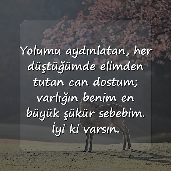 doğa ile ilgili sözler - 10