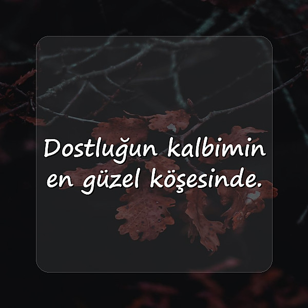 doğa ile ilgili sözler - 11