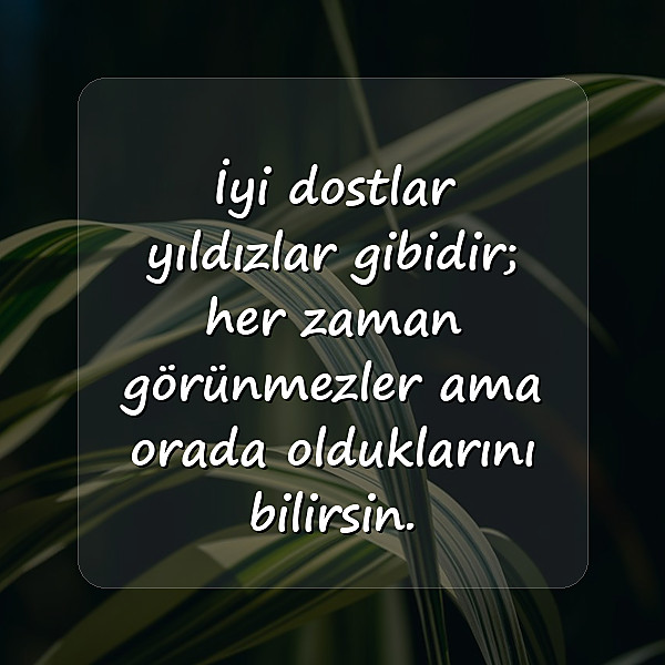 dost ile ilgili sözler - 1