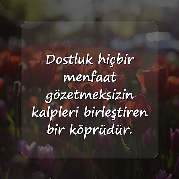 dost ile ilgili sözler - 6
