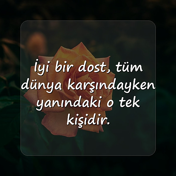 Dost Sözleri - 21