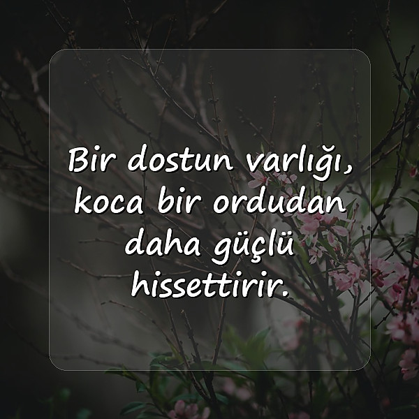 Dost Sözleri - 17