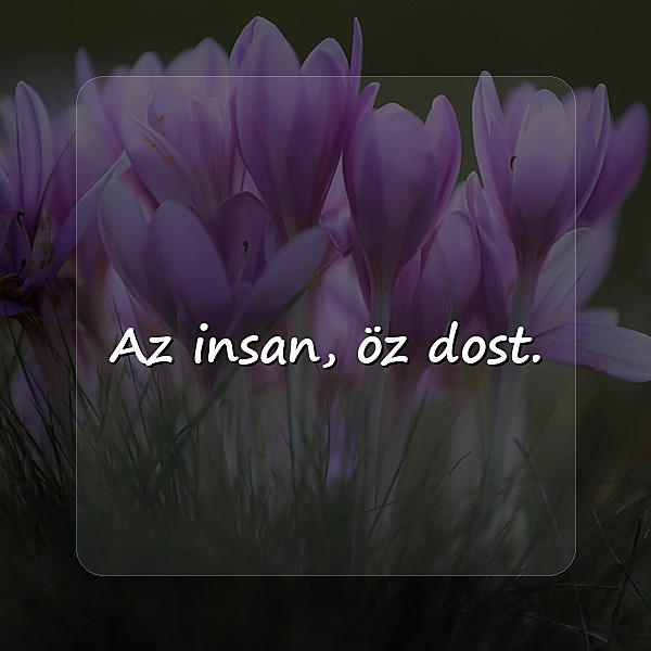 Dost Sözleri - 1