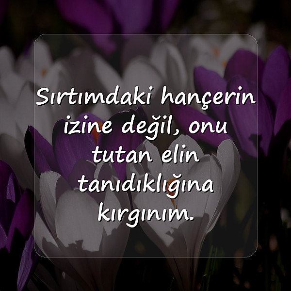 dosta ağır sözler - 5