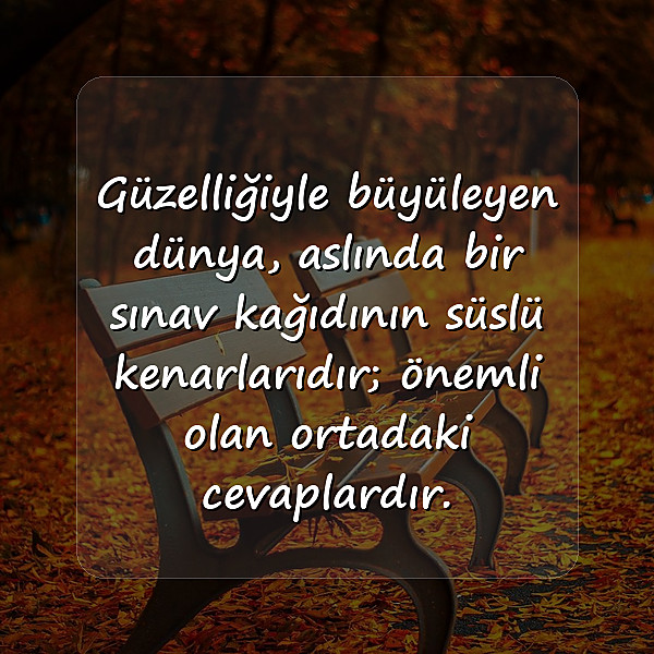 dünya ile ilgili sözler - 11