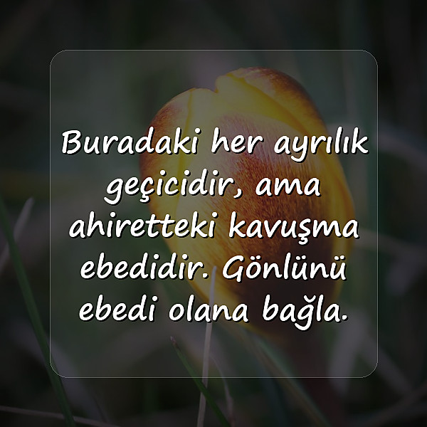dünya ile ilgili sözler - 7