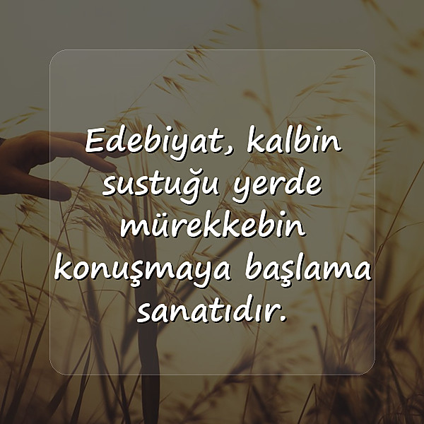 edebiyat sözleri - 5