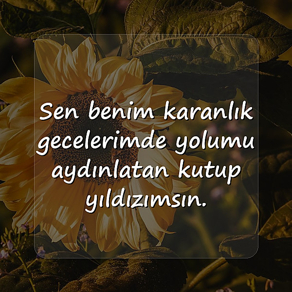 en güzel aşk sözleri - 2