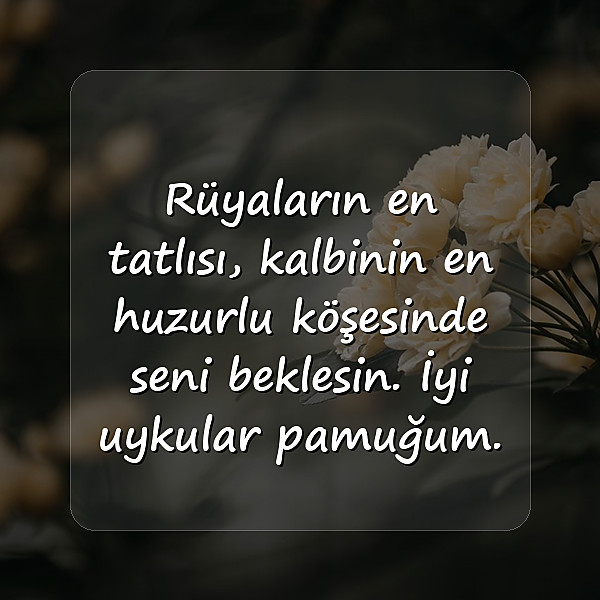 En Tatlı İyi Geceler Mesajları - 5